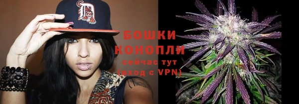 ешки Аркадак