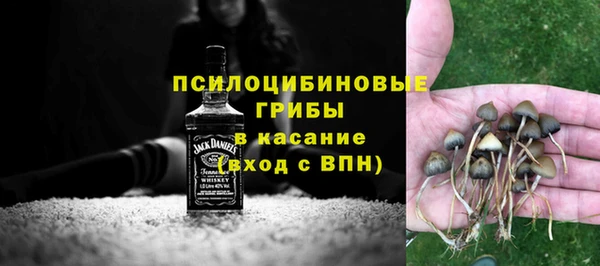 apvp Ростов