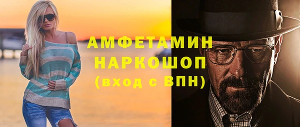 шишки Арсеньев