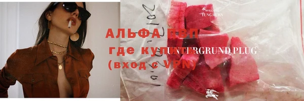 шишки Арсеньев