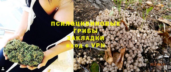 apvp Ростов