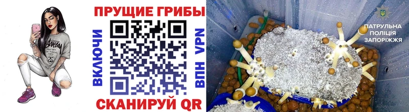 Псилоцибиновые грибы мухоморы  Белая Калитва 